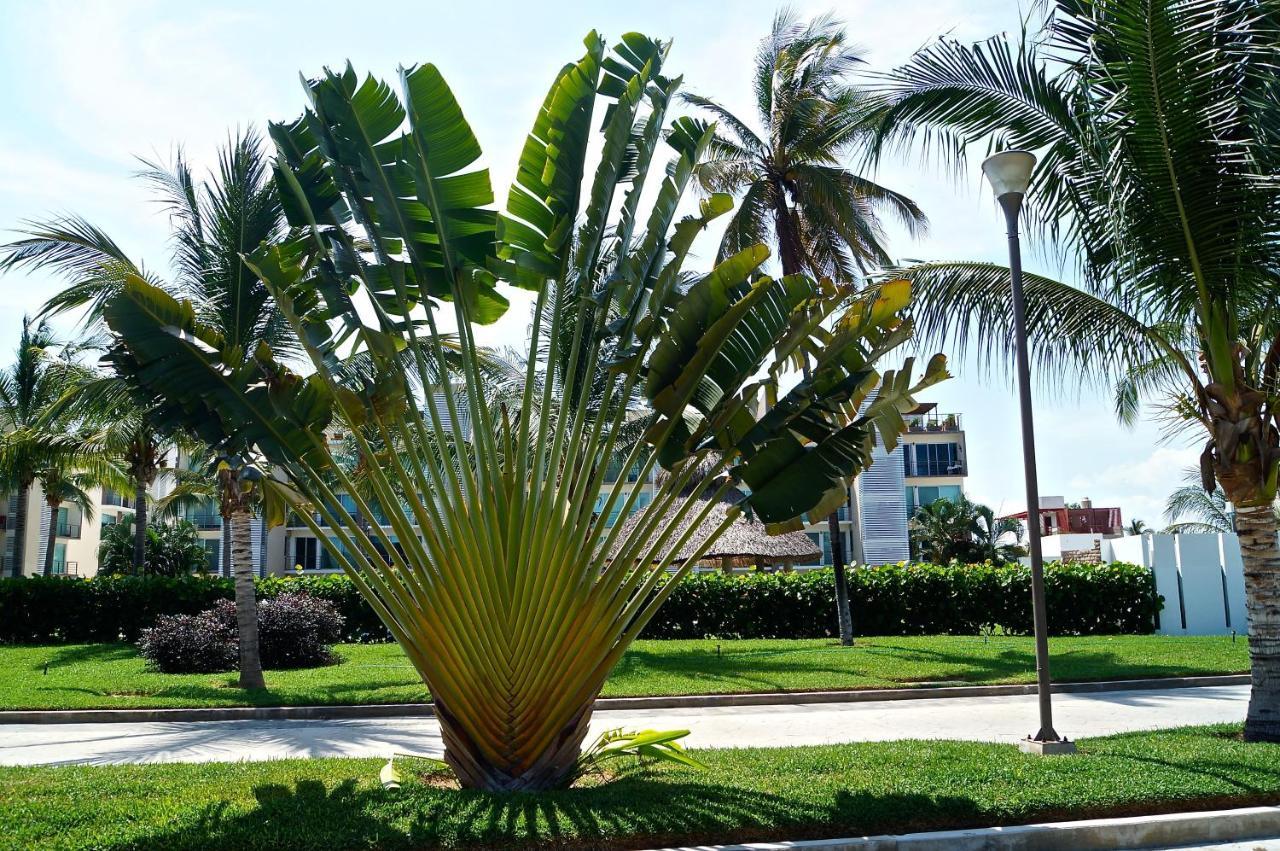 Penthouse Con Jacuzzi En Acapulco Diamante Lejlighed Eksteriør billede